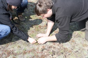 Life+ 3.04.2014 r.. 039