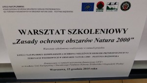 12342343_1711855385700352_2644789203060937195_n