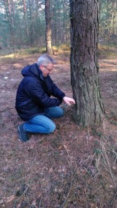 1453289_1744264522459438_3538759173150776791_n